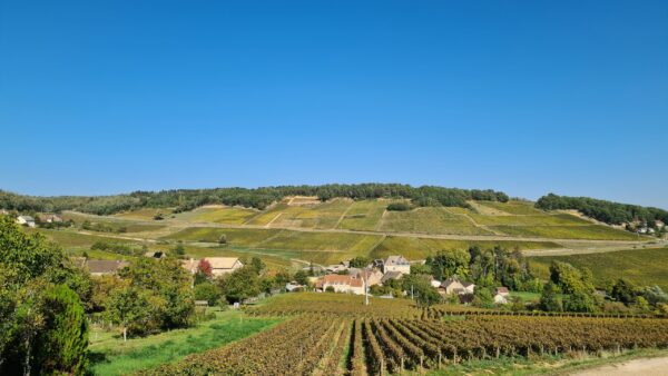Montagny 1er Cru Cuvée Louis 2023 (Feuillat-Juillot) - Afbeelding 2